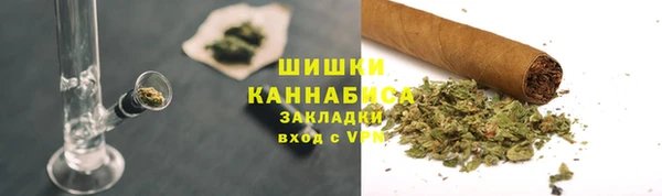 PSILOCYBIN Киров
