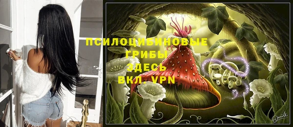 тгк Коряжма