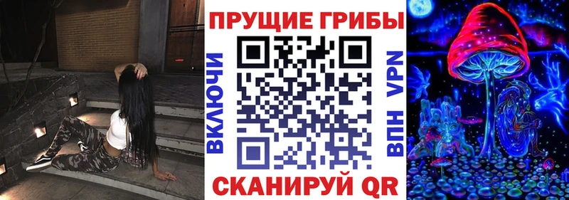 Купить закладки  Малоярославец  Псилоцибиновые грибы ЛСД 